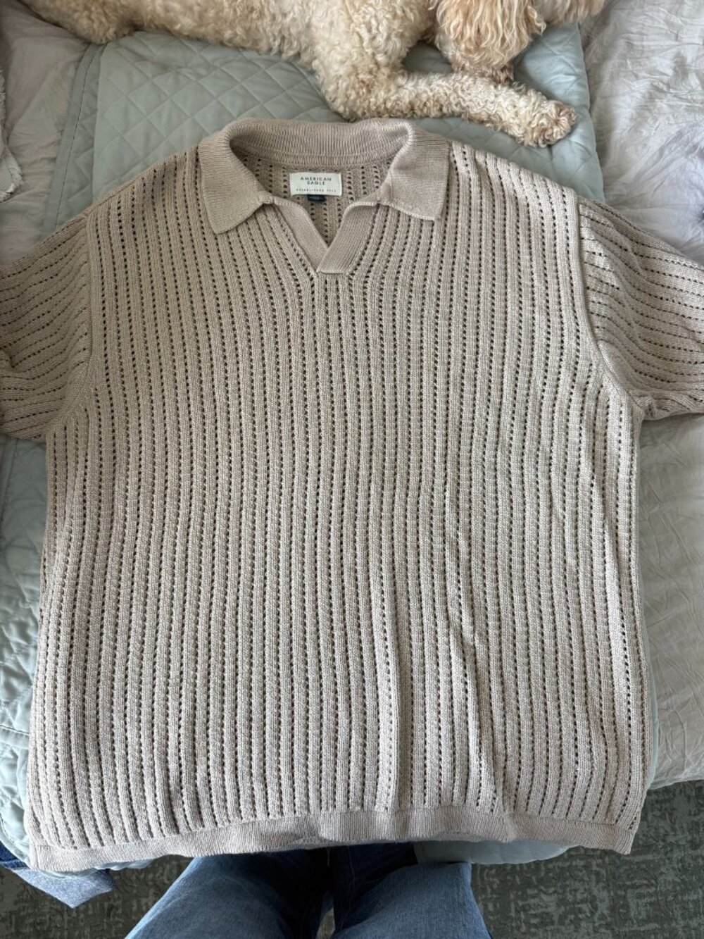 American Eagle Beige Knit Polo Shirt